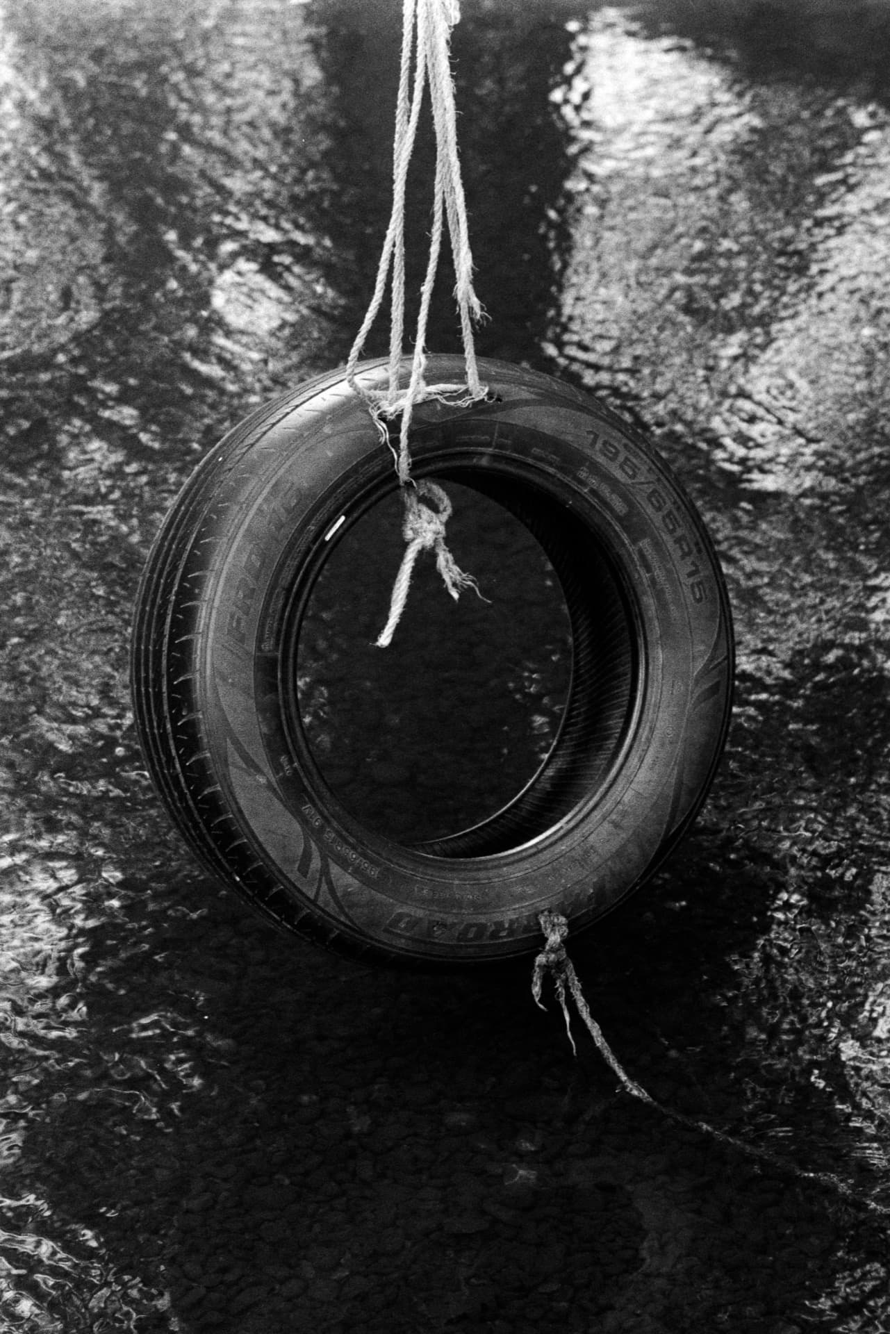 Tire swing suspended by rope above rippled water surface