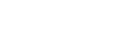 Dummy company logo