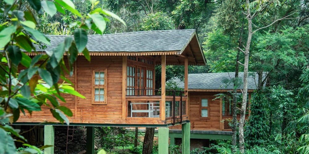 The Perfect Alternative to Munnar: Discover the Beauty of Kuttikkanam