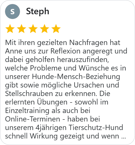 five star google review from Steph