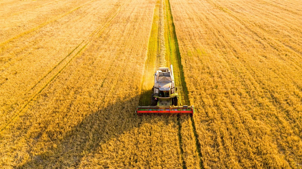 Aerial view of a farm machine harvesting golden crops in a vast field, representing agricultural efficiency and modern farming technology.