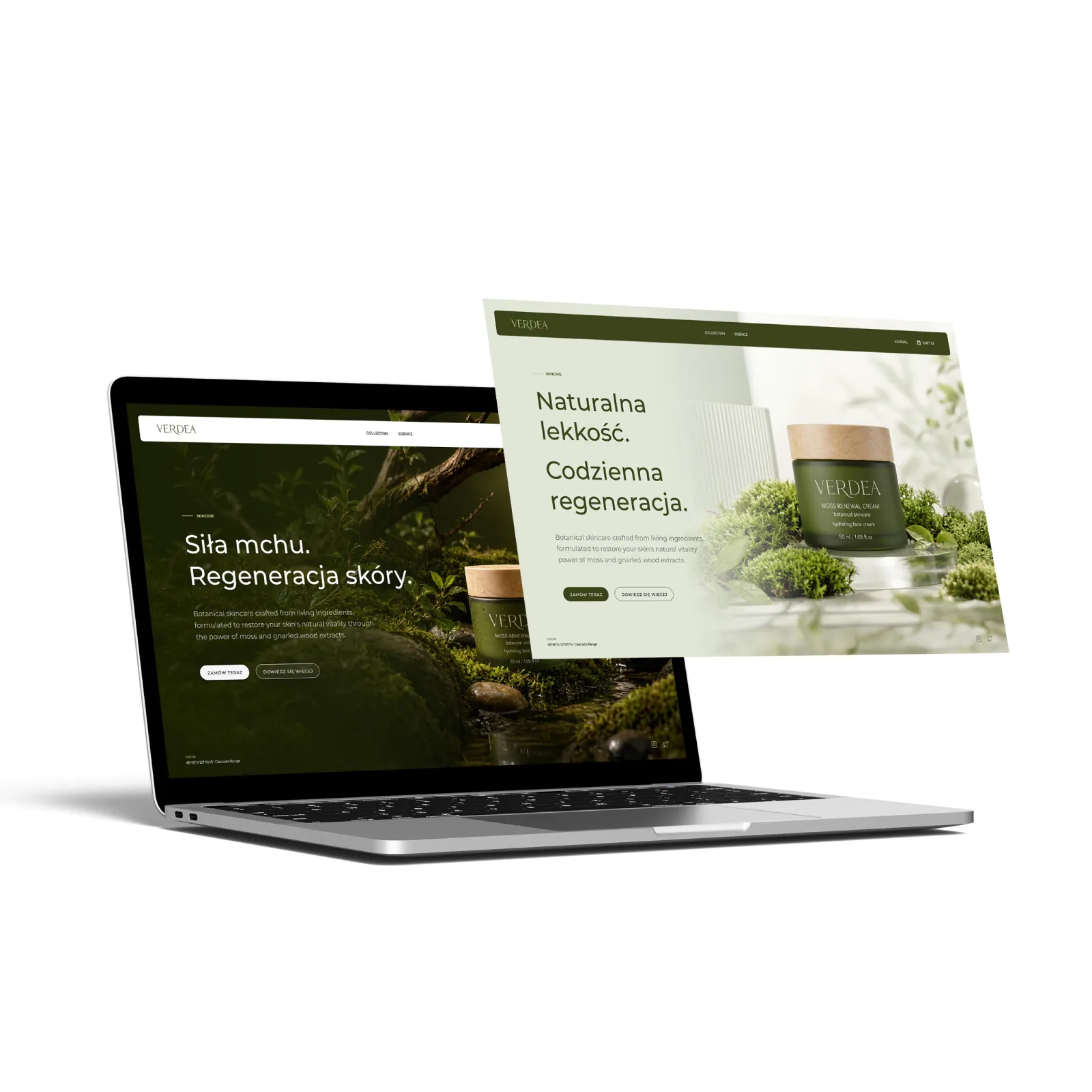 Archin-Project Image