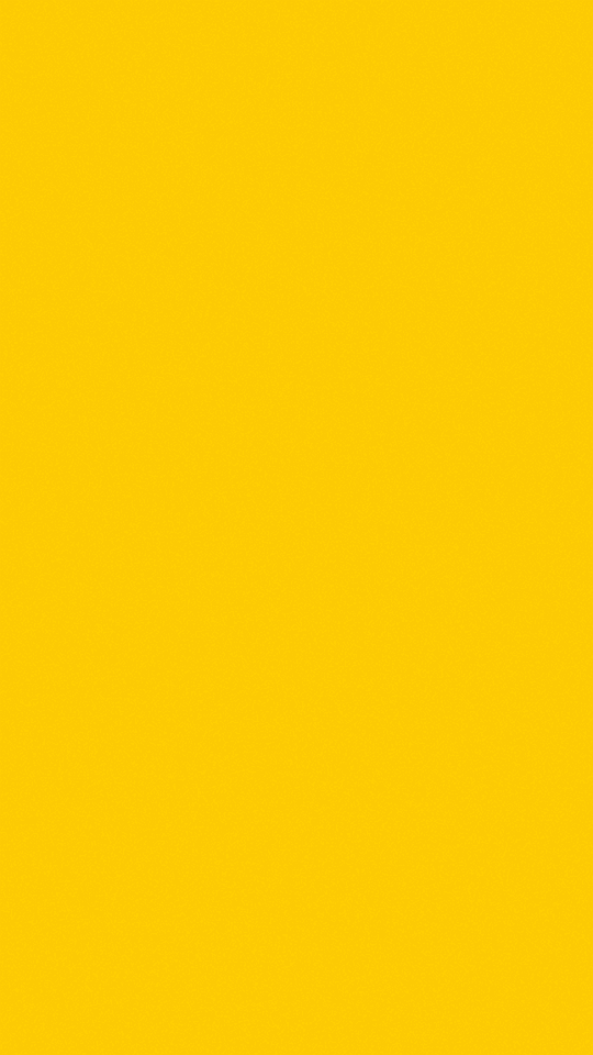 A gif showcasing a social media video created for Salney.