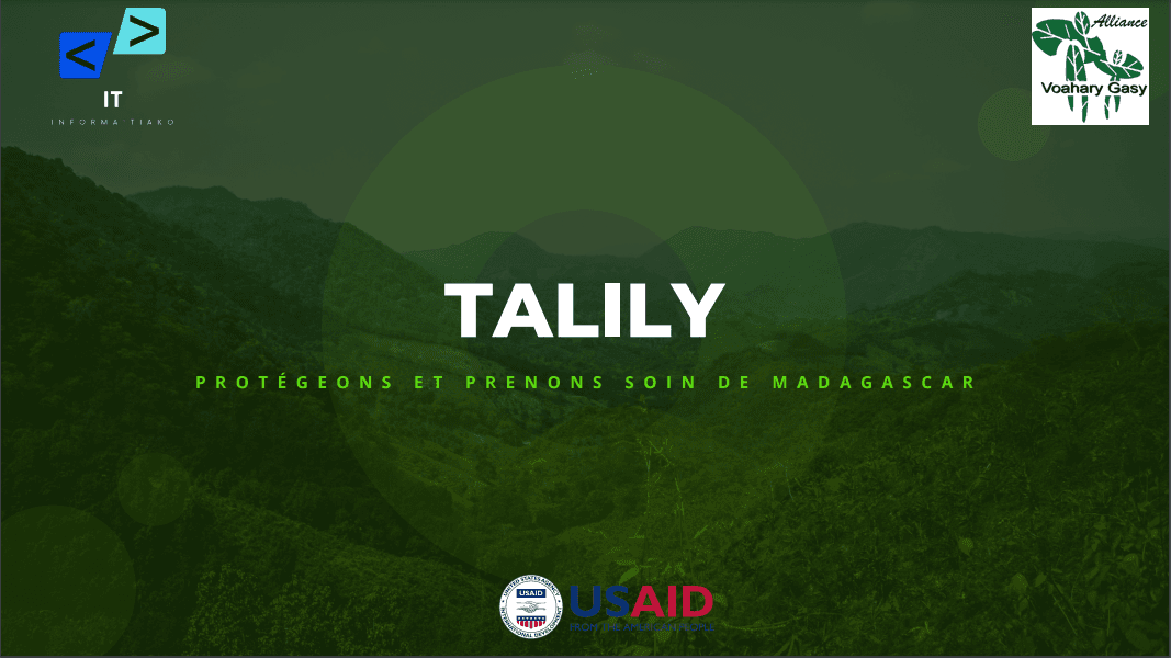 Talily: Fighting corruption in natural resource management