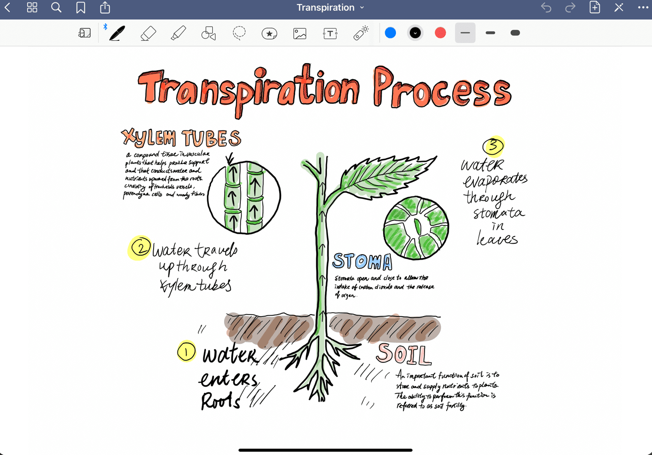Best 15 Productivity Apps For Students - GoodNotes
