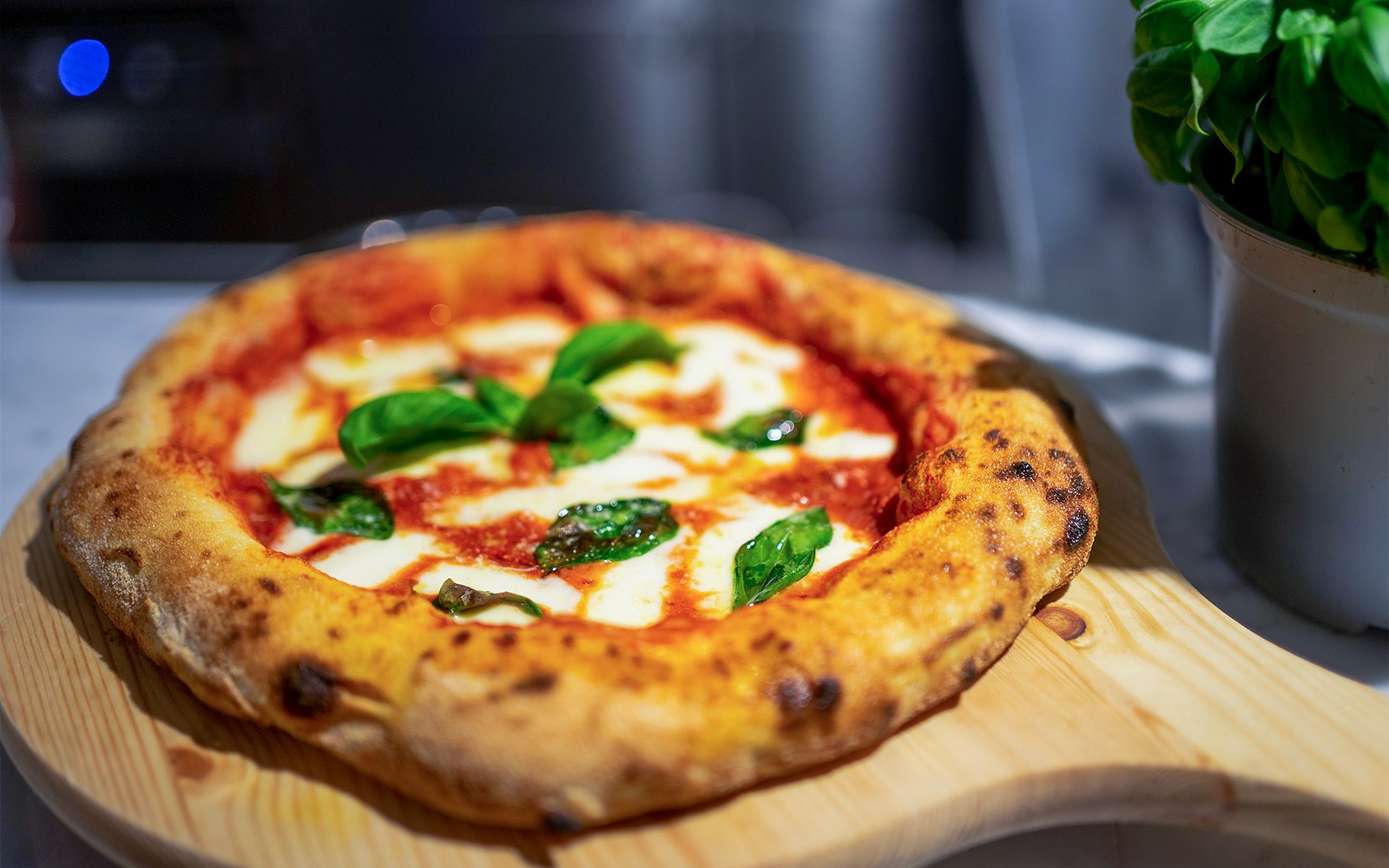 Pizza with fresh basil on a wooden board during a cooking class in Milan.