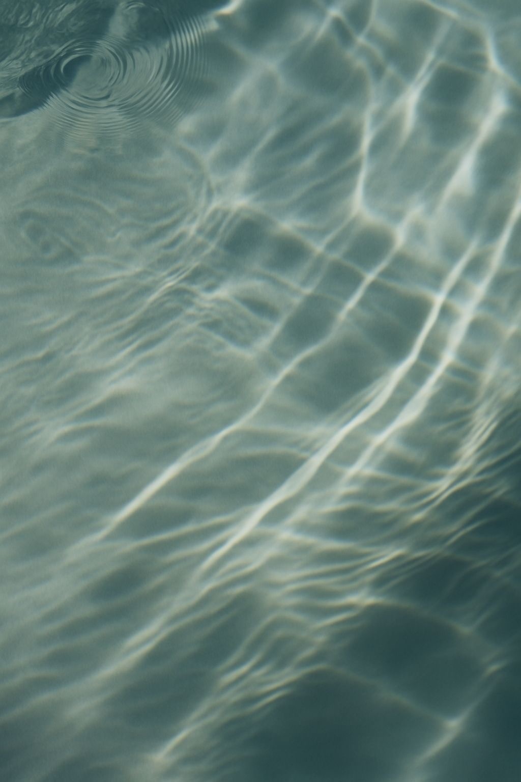 Dynamic picture of a cyclist riding downhill