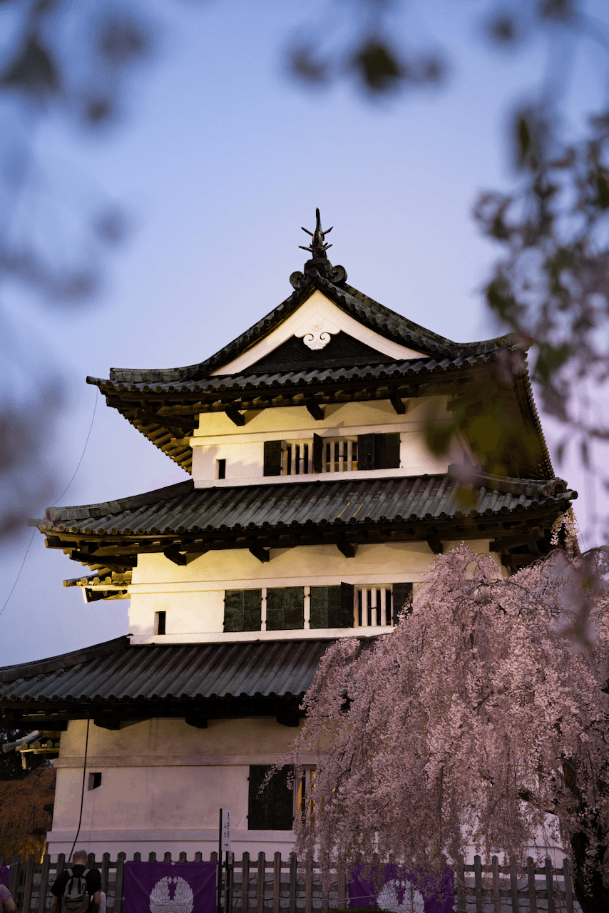 Sakura in front of Hirosaki Castle at dusk