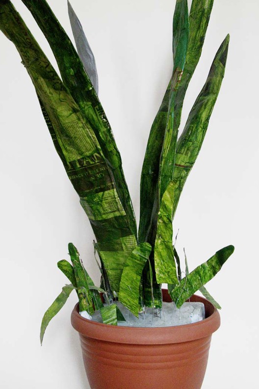 Large Project Gallery Image #3