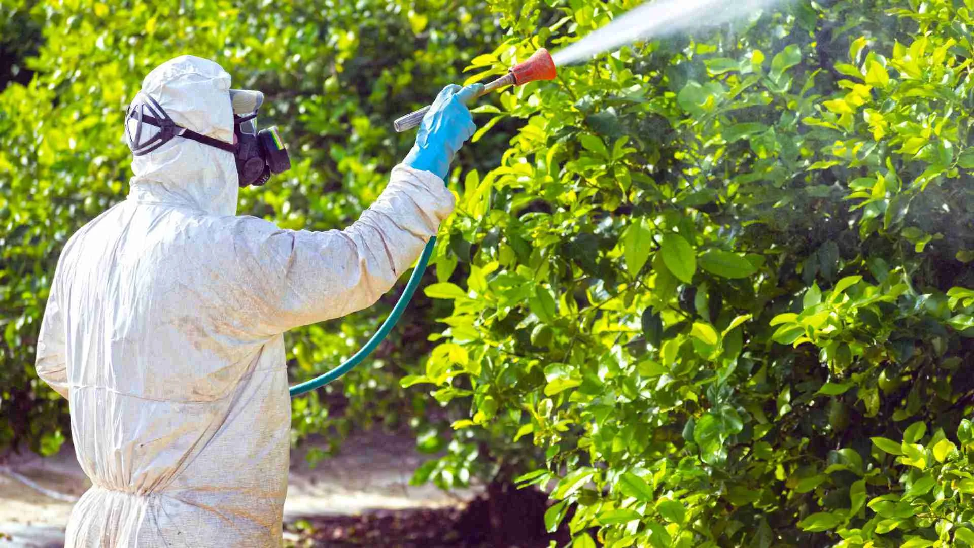 Residential Pest, Weed, and Fertilization