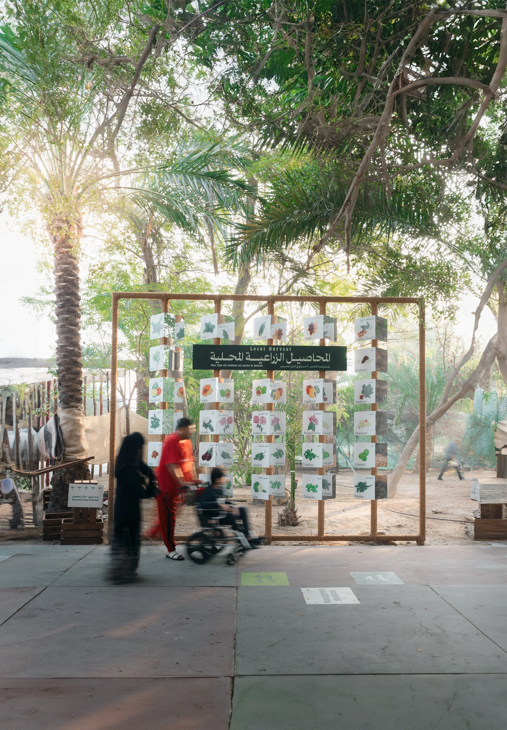 The top half of a screen of a mobile device