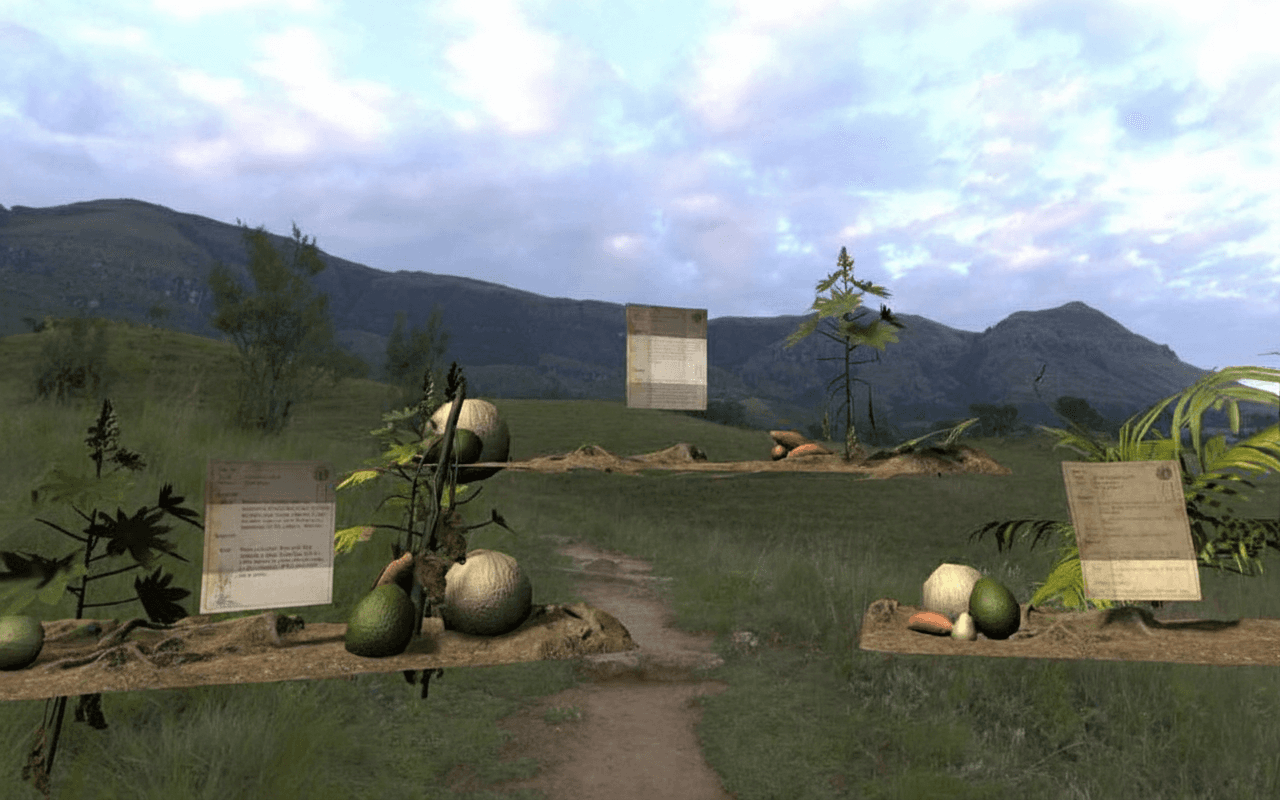 Example work of branding design