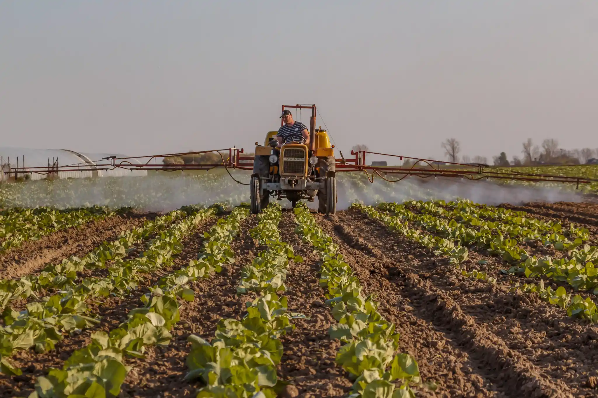Vista aérea de un tractor trazando líneas en el cultivo