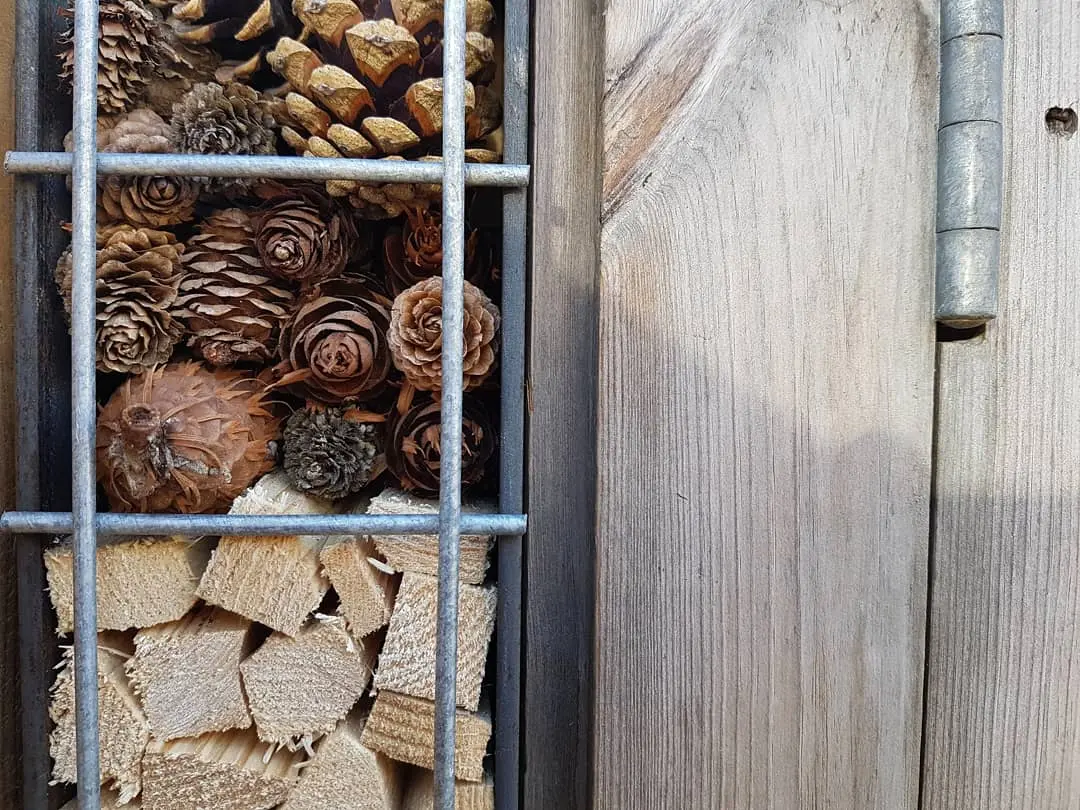 A neatly stacked pile of firewood is visible through a window, next to a wooden wall.