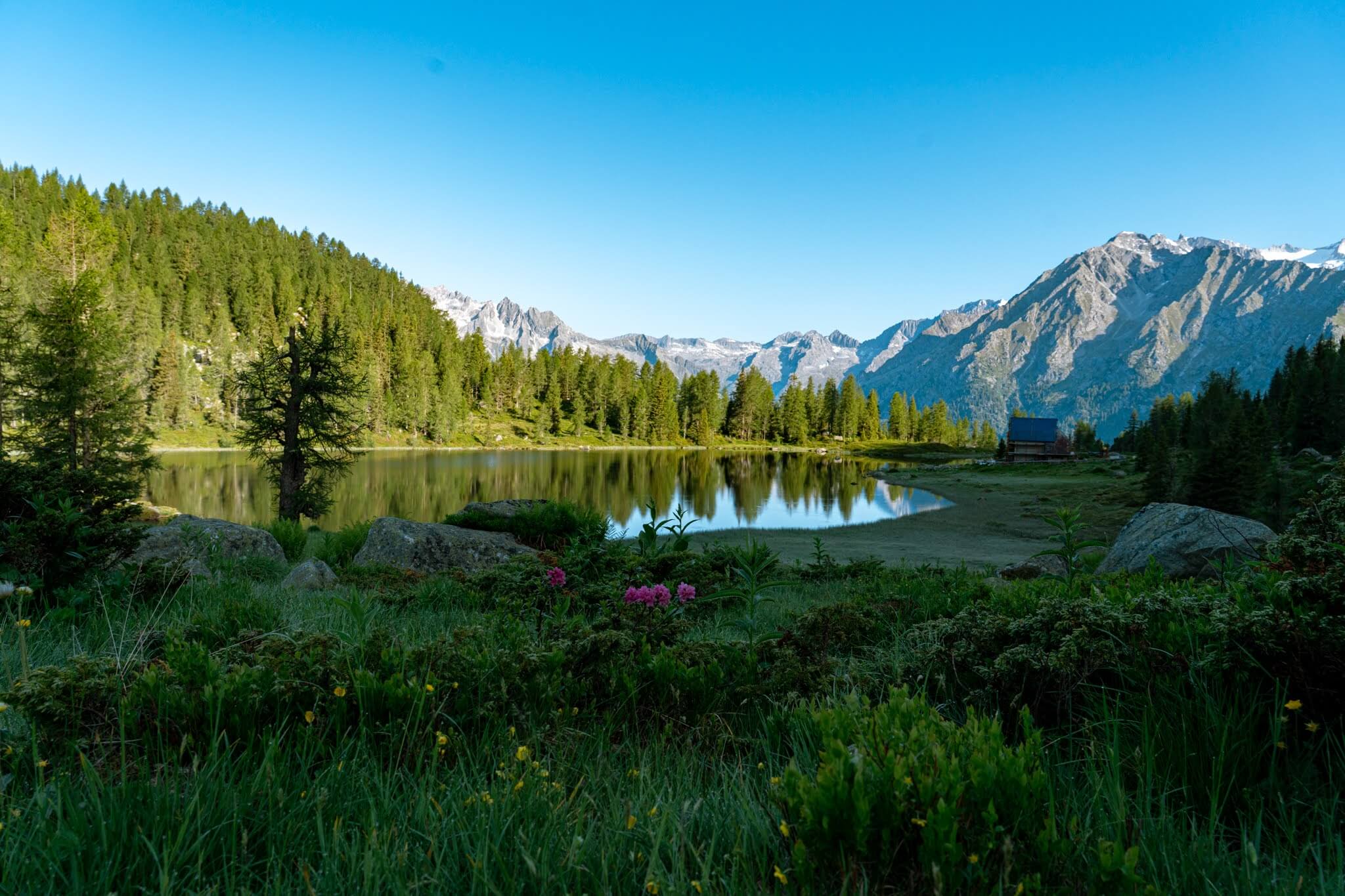 An angler casting a dry fly during the evening rise at 1,941 meters, just steps away from the Rifugio San Giuliano mountain hut.