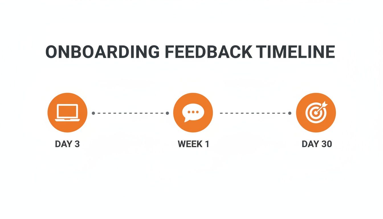 An onboarding feedback timeline outlining key stages on Day 3, Week 1, and Day 30.
