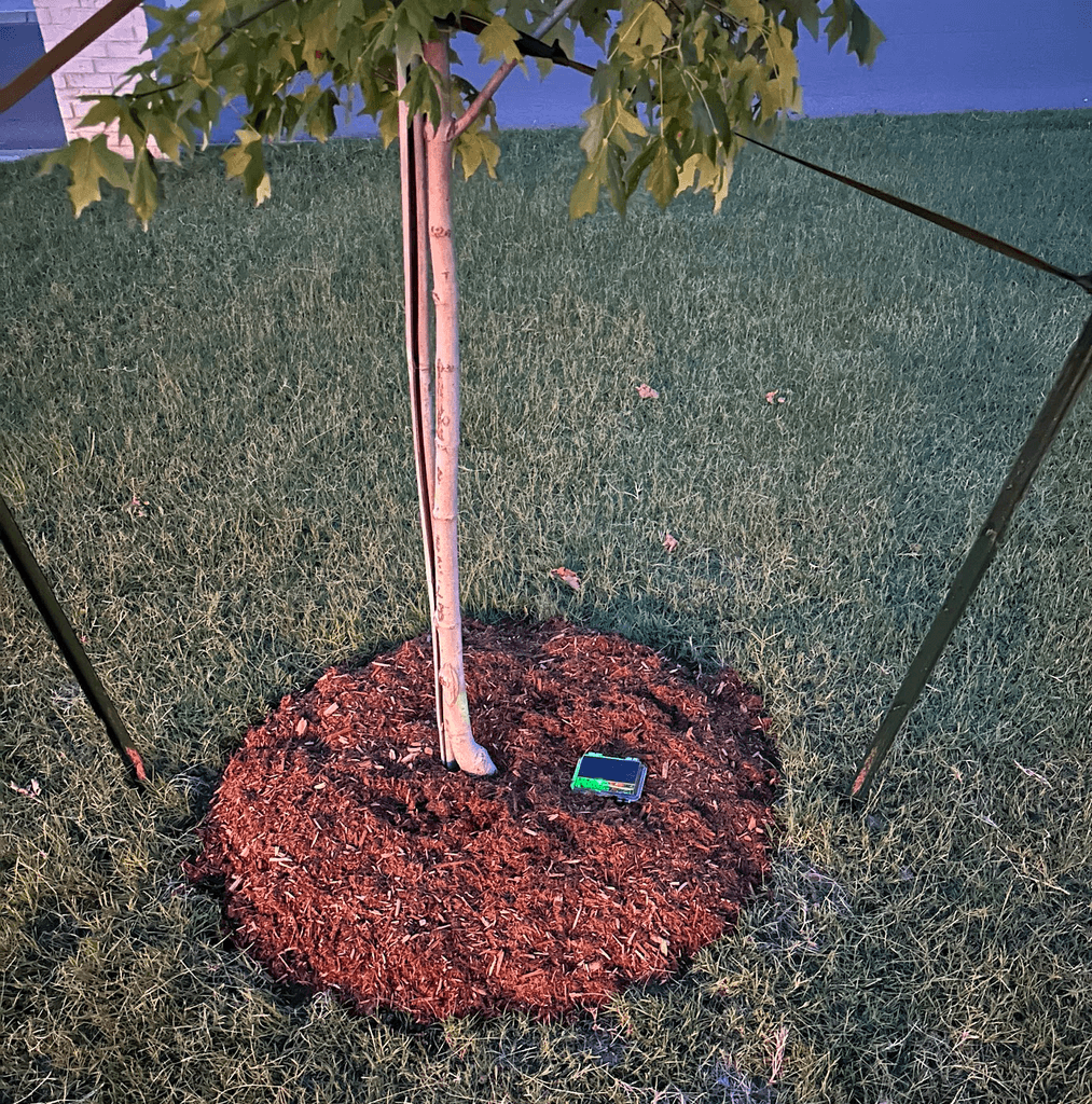 Example of low-profile controller installation by tree.