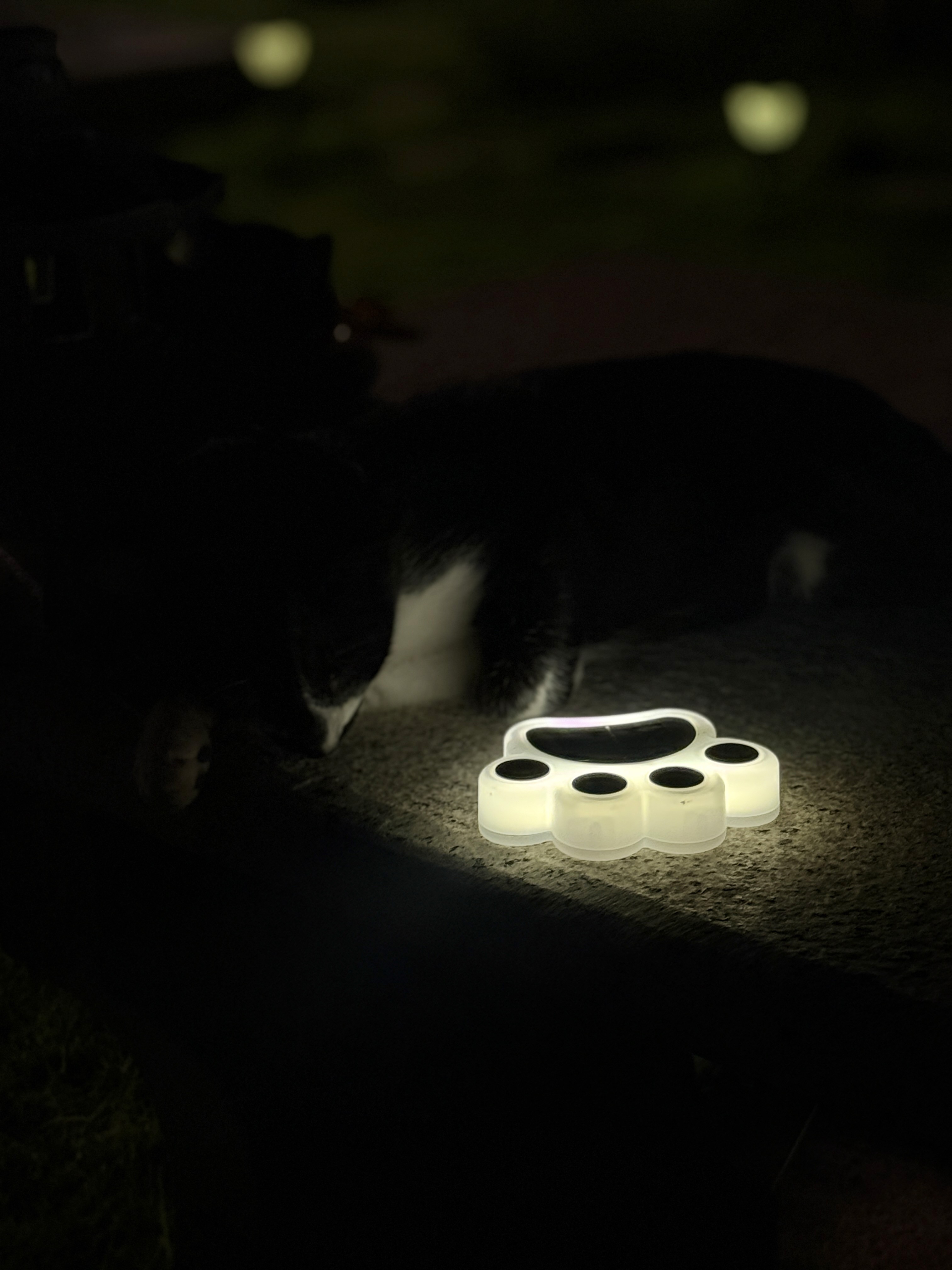 Cat paw solar garden light