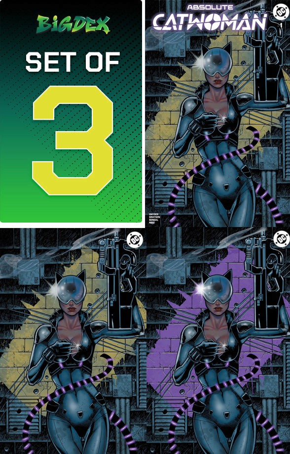 Absolute Catwoman #1 Jim Balent Exclusive Set of 3 featuring exclusive cover artwork by JIM BALENT including trade dress and virgin variants available for pre-order.