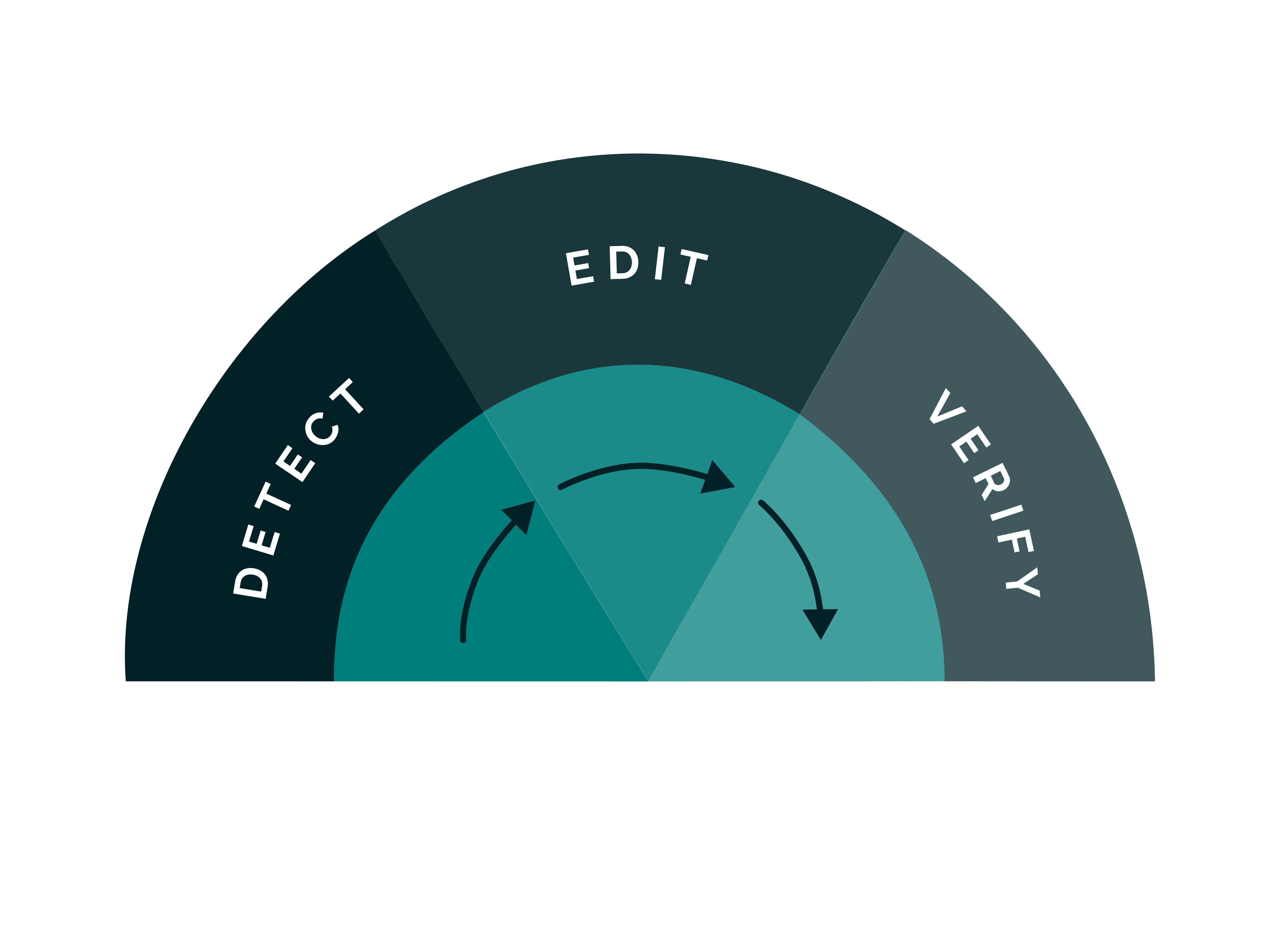 Diagram of our process