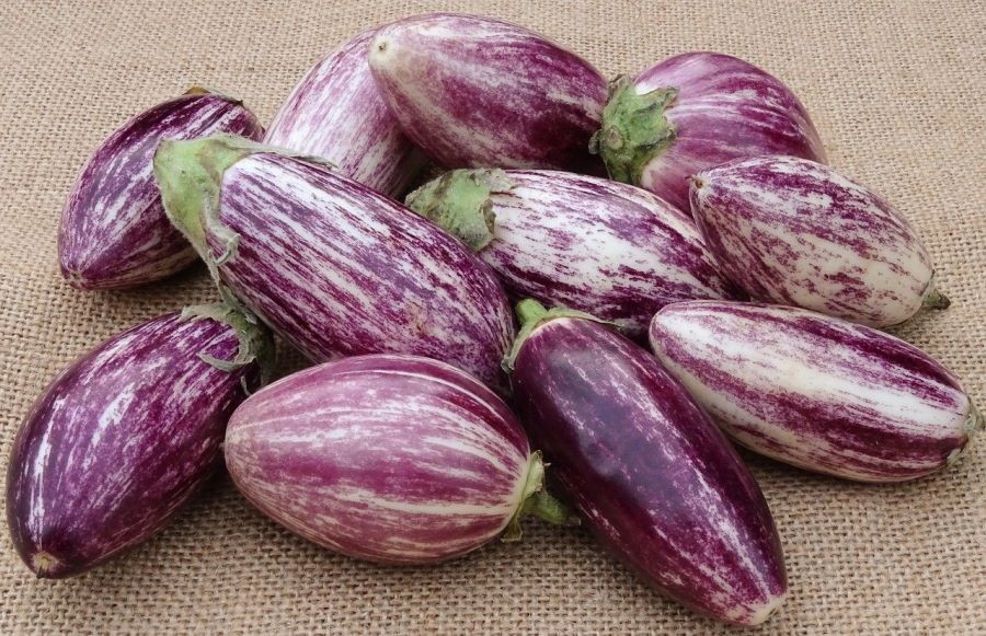 Melanzane, da mangiare solo cotte