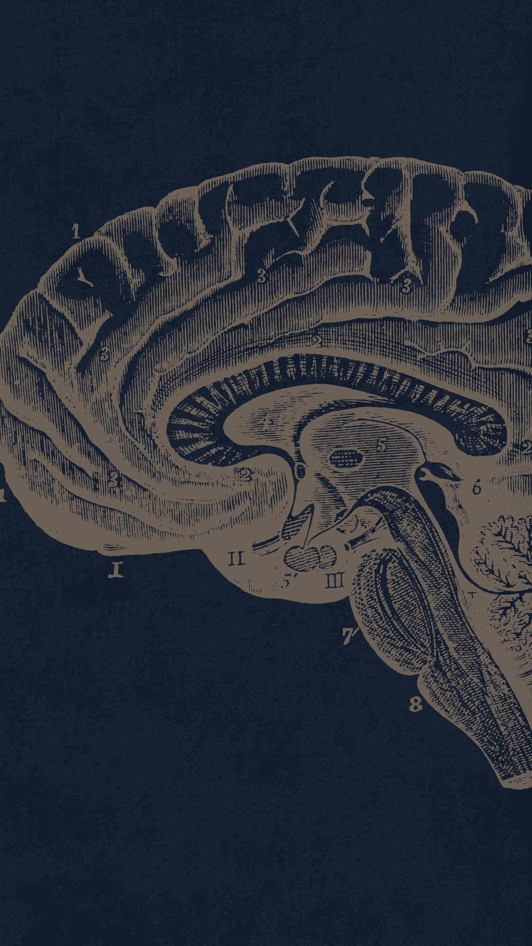 Woman holding the yoga mate in her hands