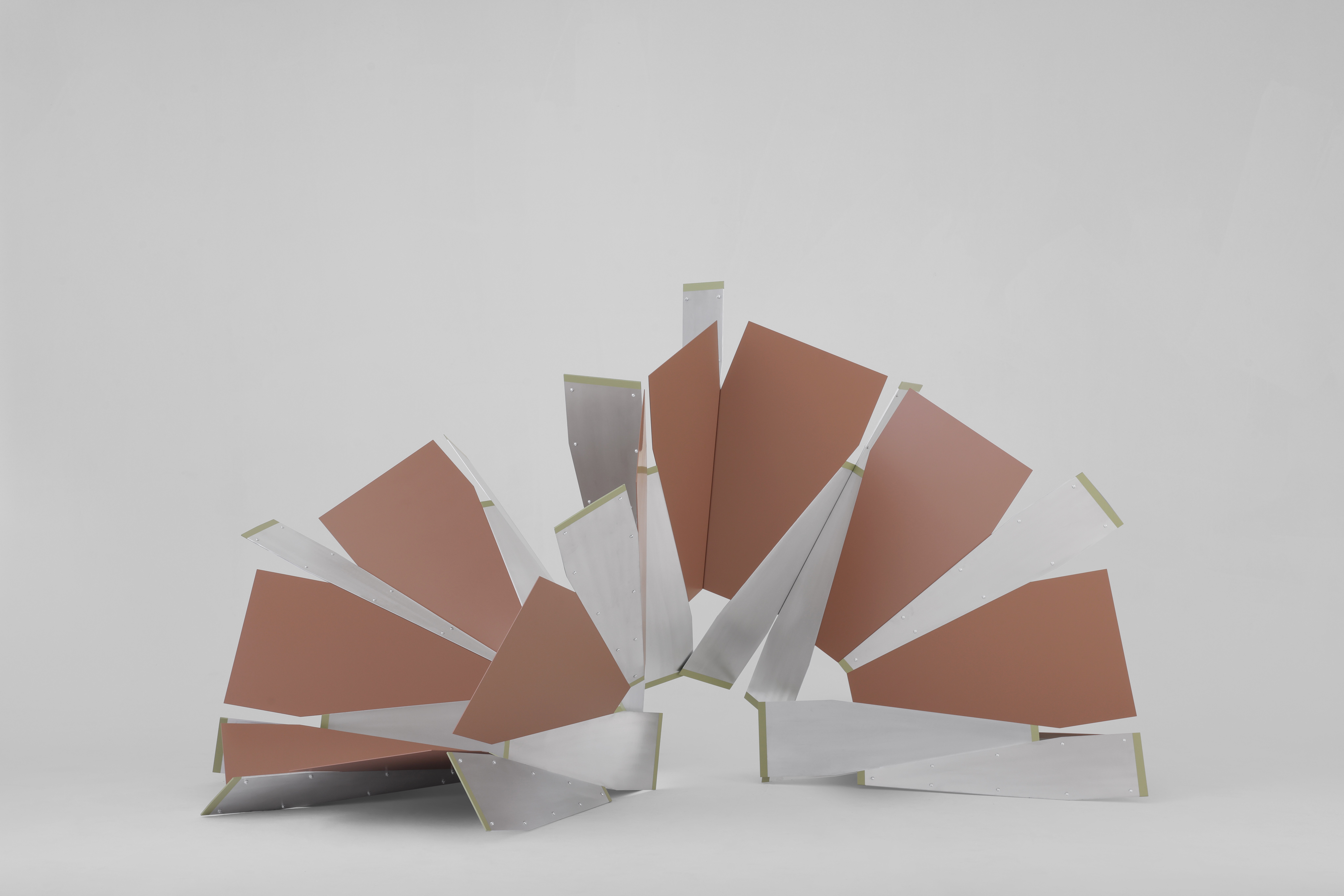 A black female model