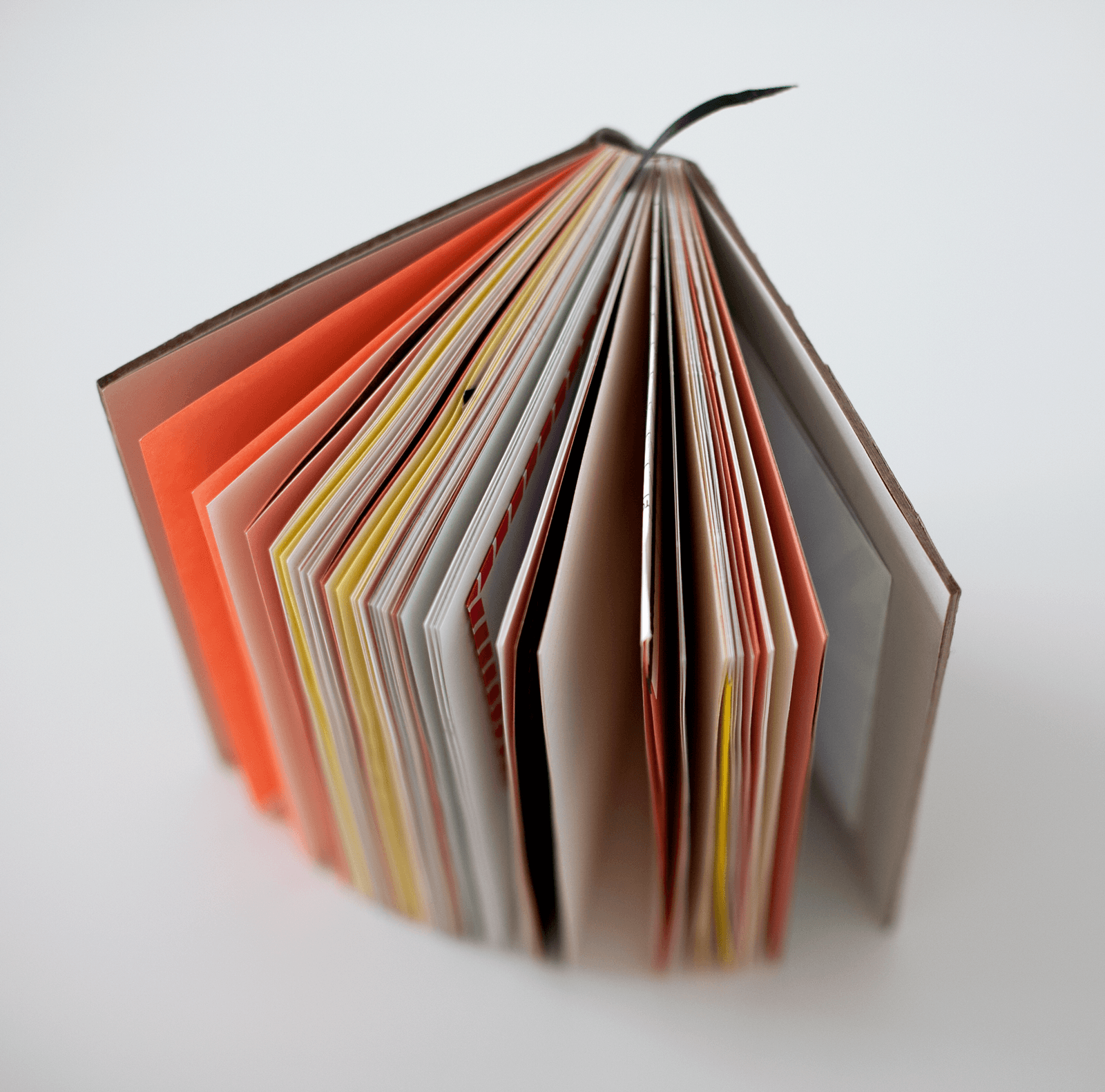 Top view of book, pages splayed out showing a variety of colored papers