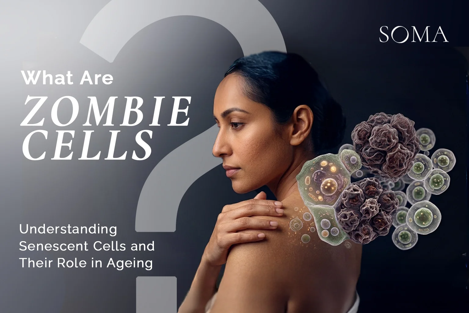 What Are Zombie Cells? Understanding Senescent Cells and Their Role in Ageing