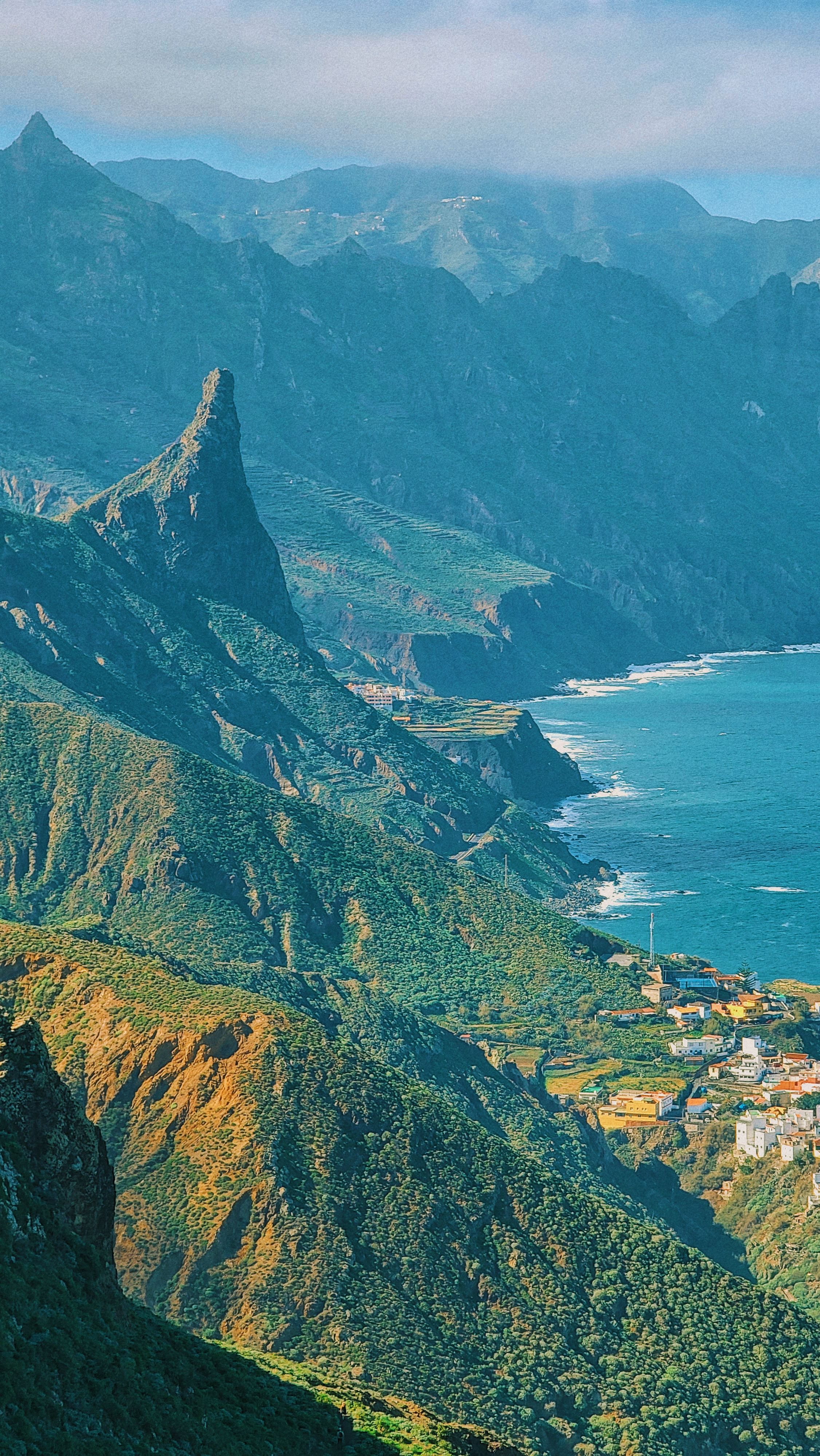 Cargos au mouillage dans une baie tropicale