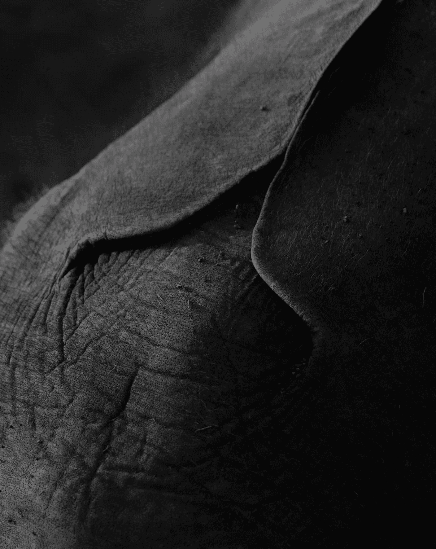 Foodpairing for launch of Dom Pérignon Rosé 2009