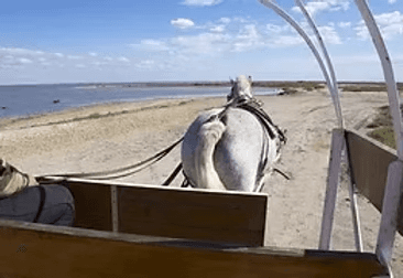 a woman getting a back massage at a spa