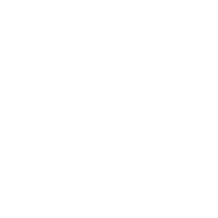 Client Icon