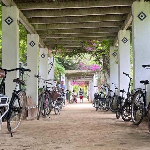 玛丽亚·路易莎公园