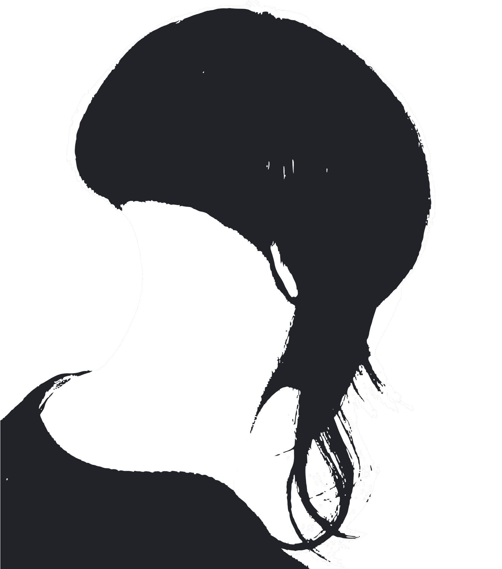 The image features a high-contrast, black and white illustration of a hair client, creating a dramatic and artistic effect.
