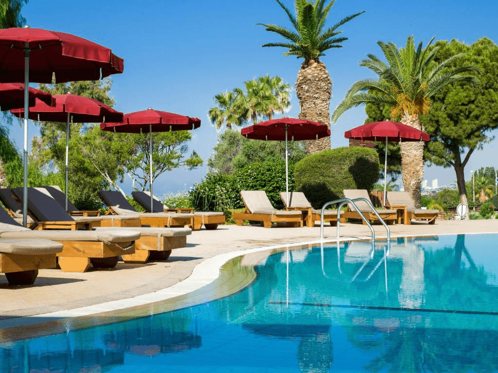 Pool area with loungers, umbrellas, and palm trees
