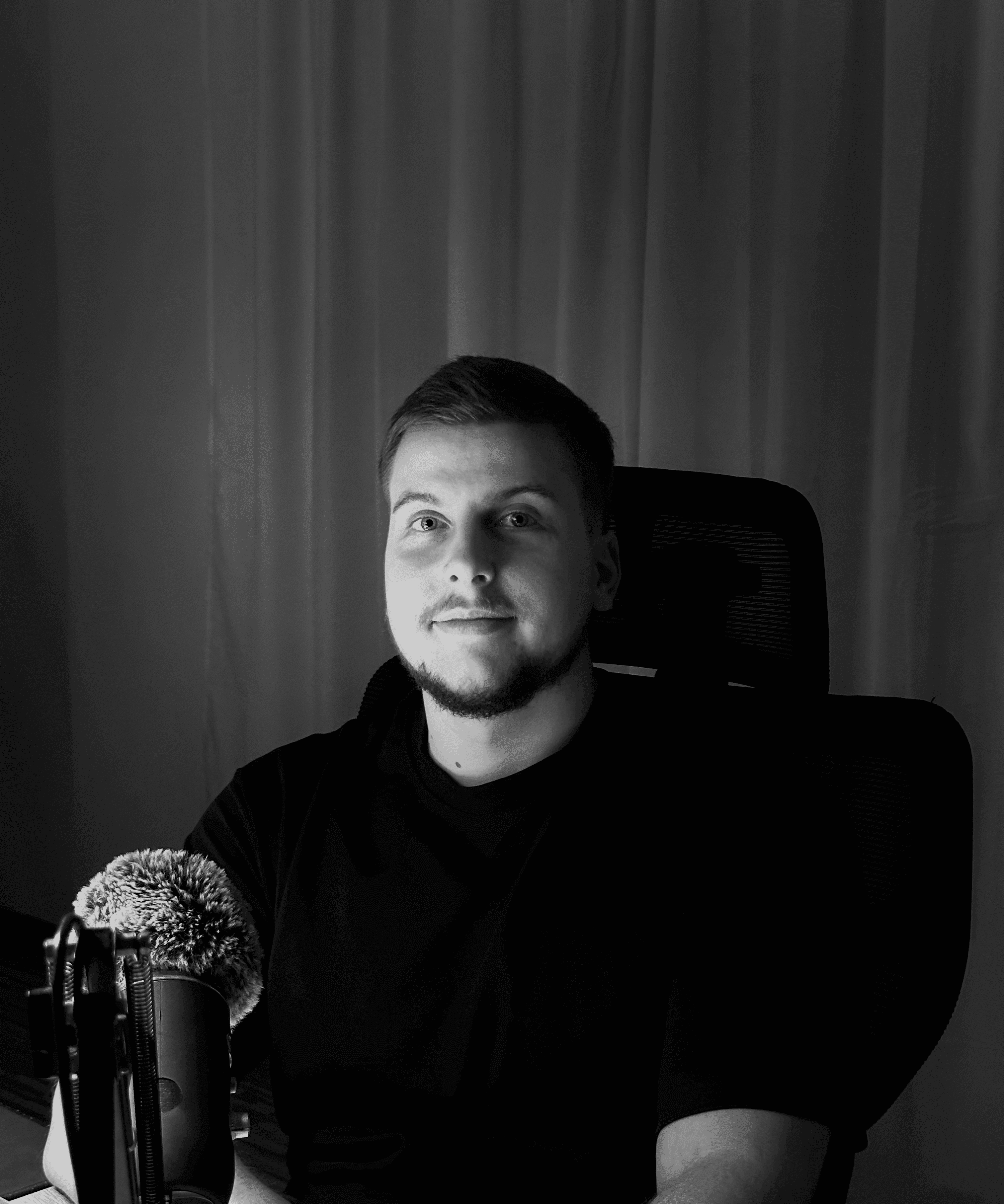 Rendijs Barkevics About Picture