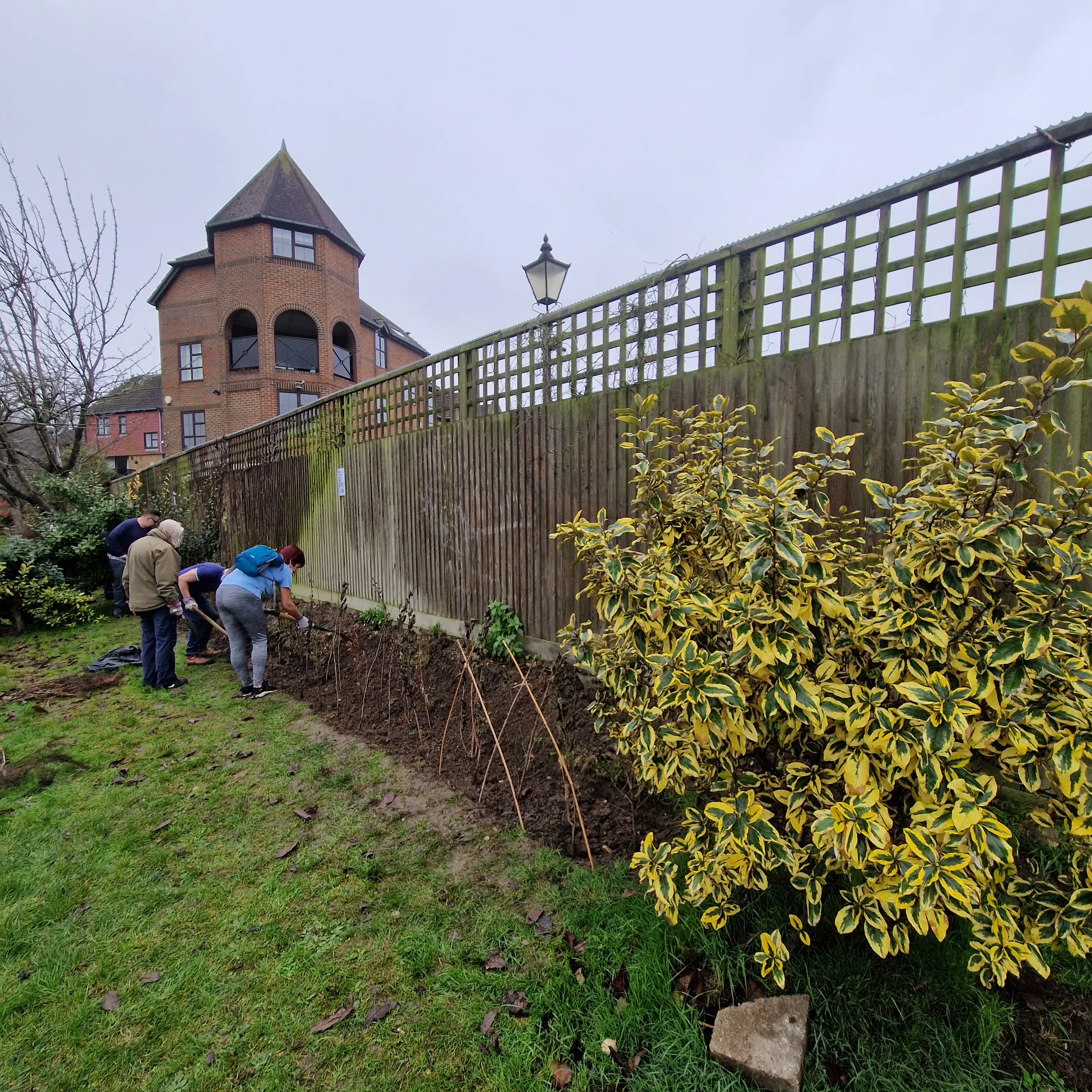 Two people work in a garden near a wall and a house, with green grass and yellow flowers in the foreground.