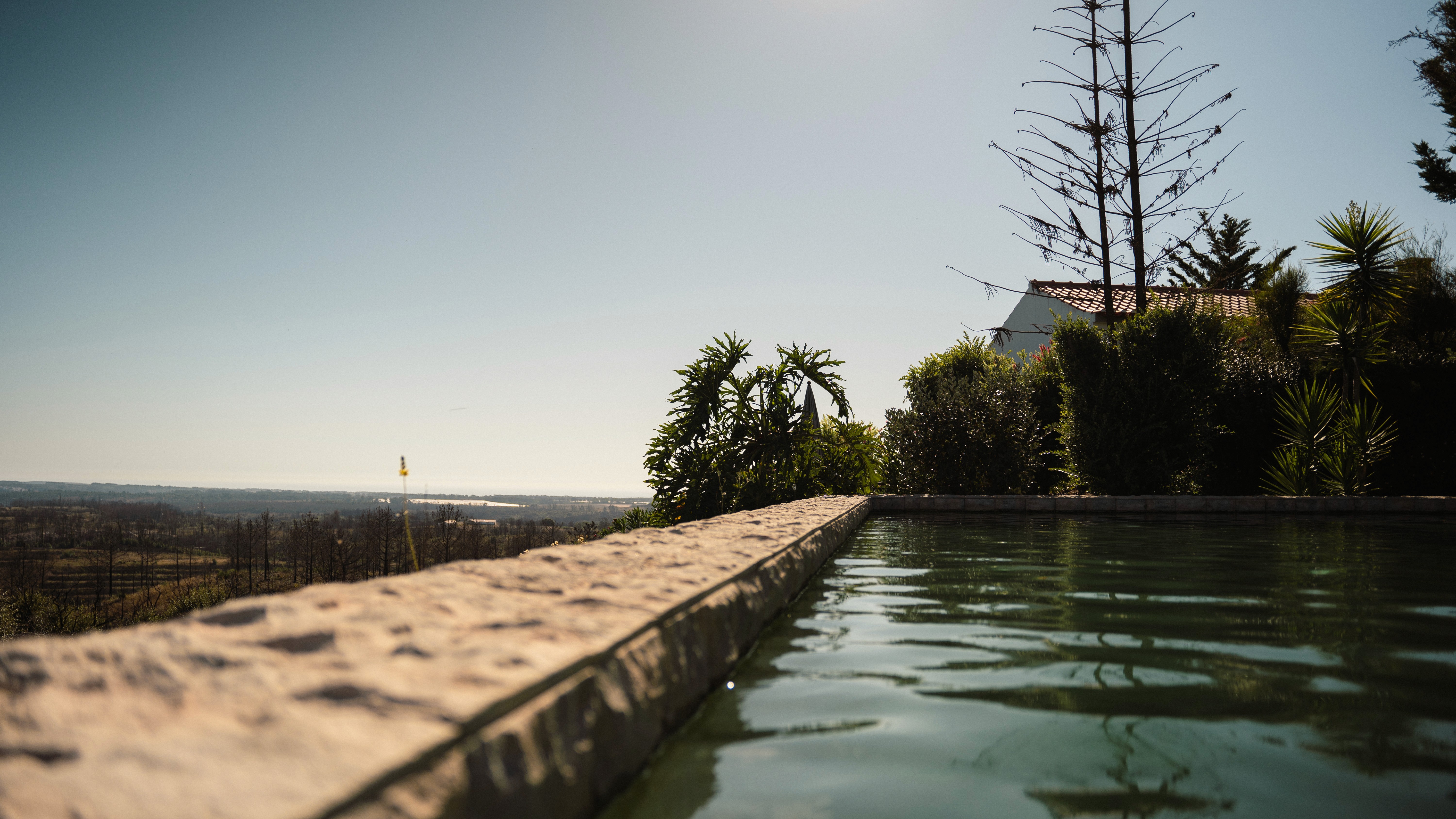 Pool an einer Natursteinmauer im Abendlicht, Agave am Beckenrand