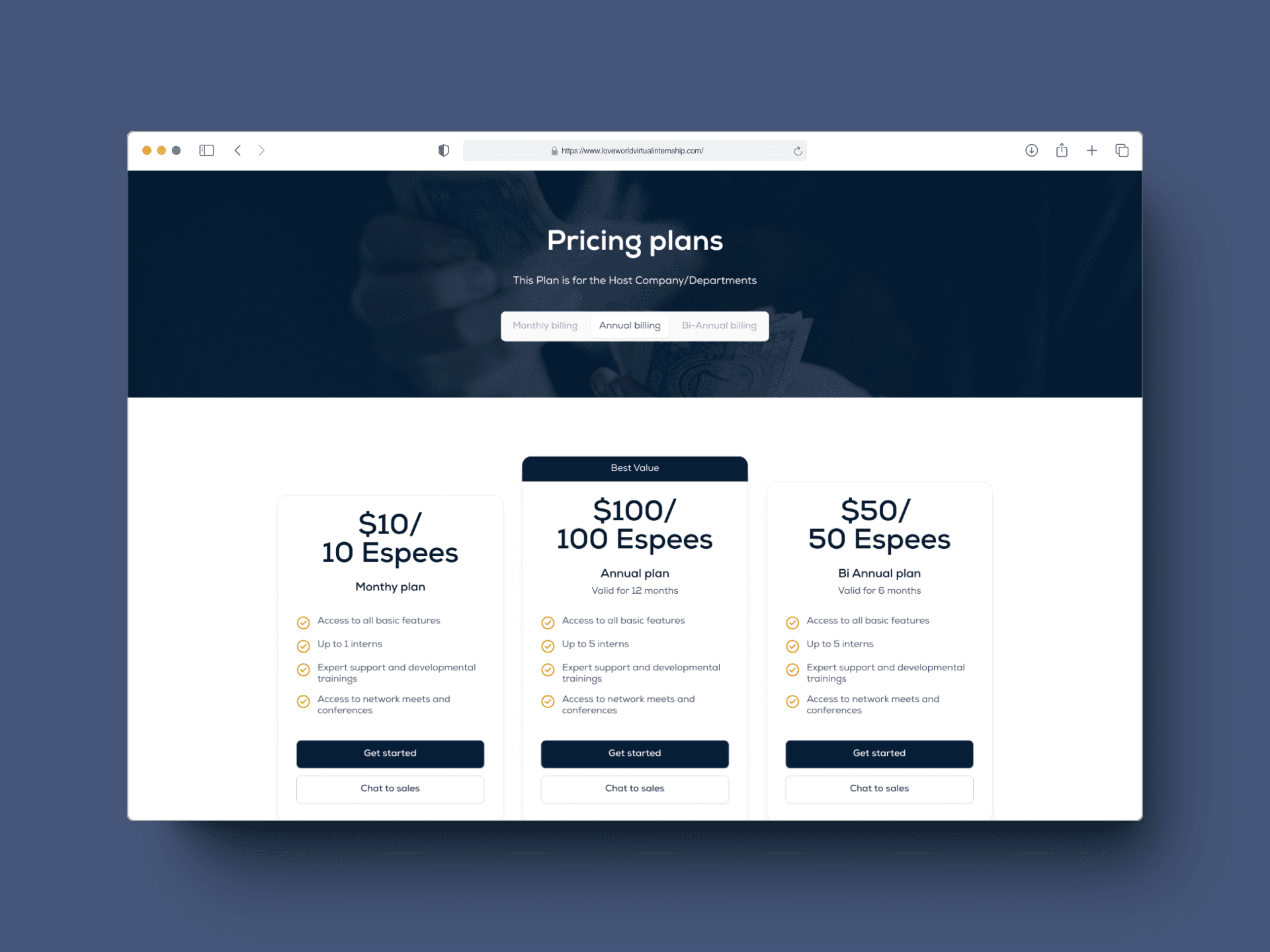 Pricnig page