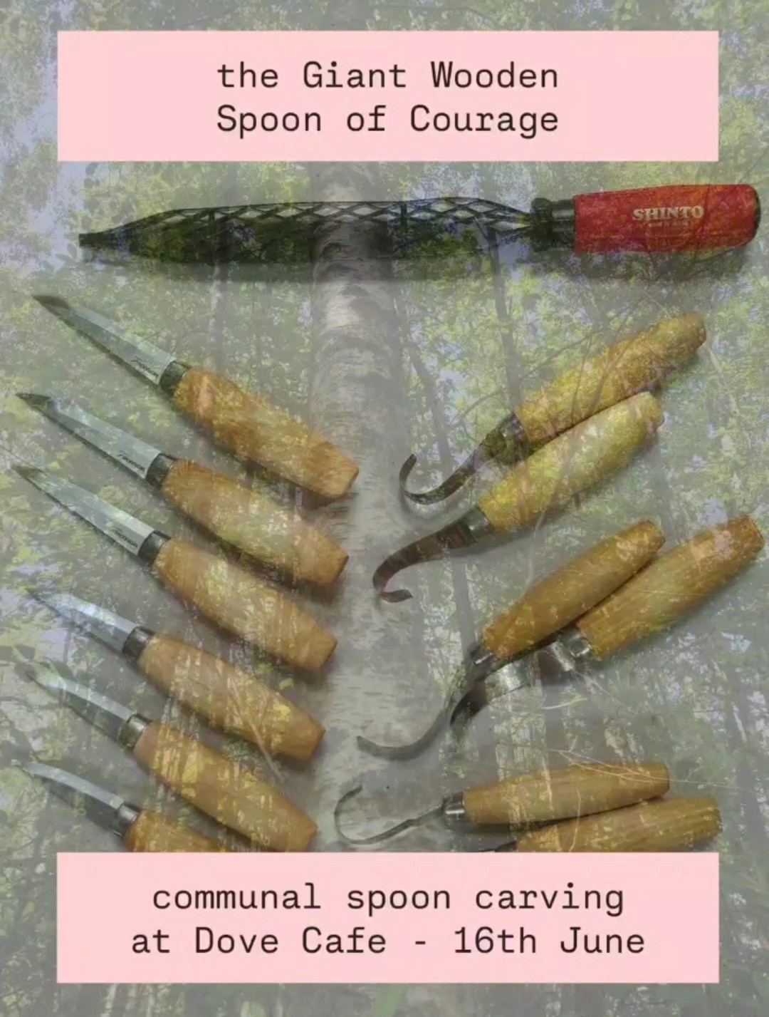 Image Content