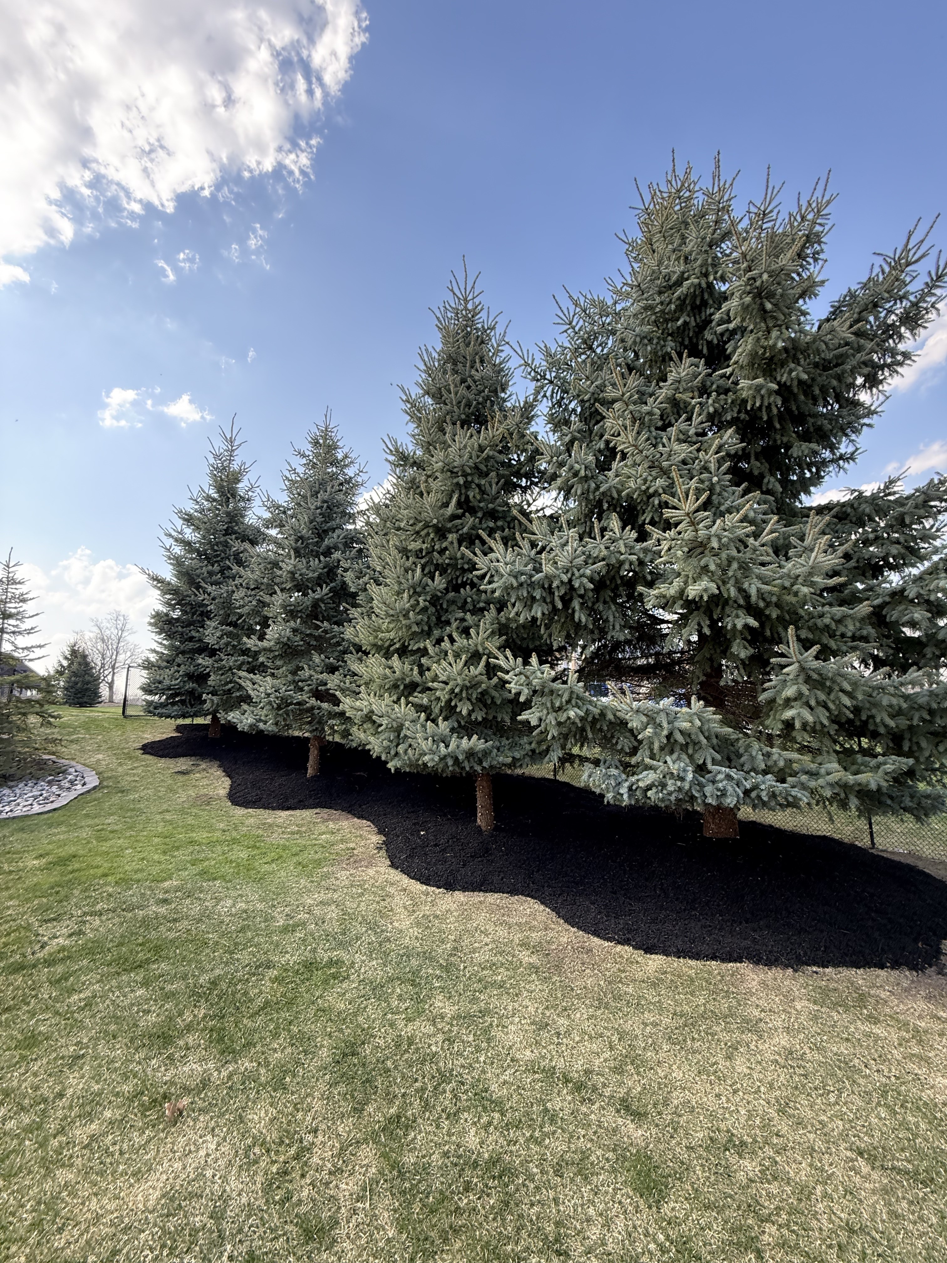 Commercial lawn mowing services with professional-grade equipment by Falcons Landscaping