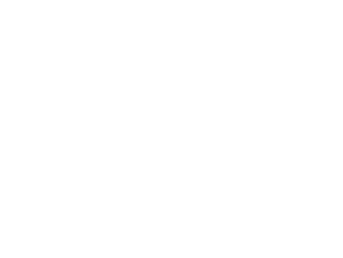 Saudi Central Bank