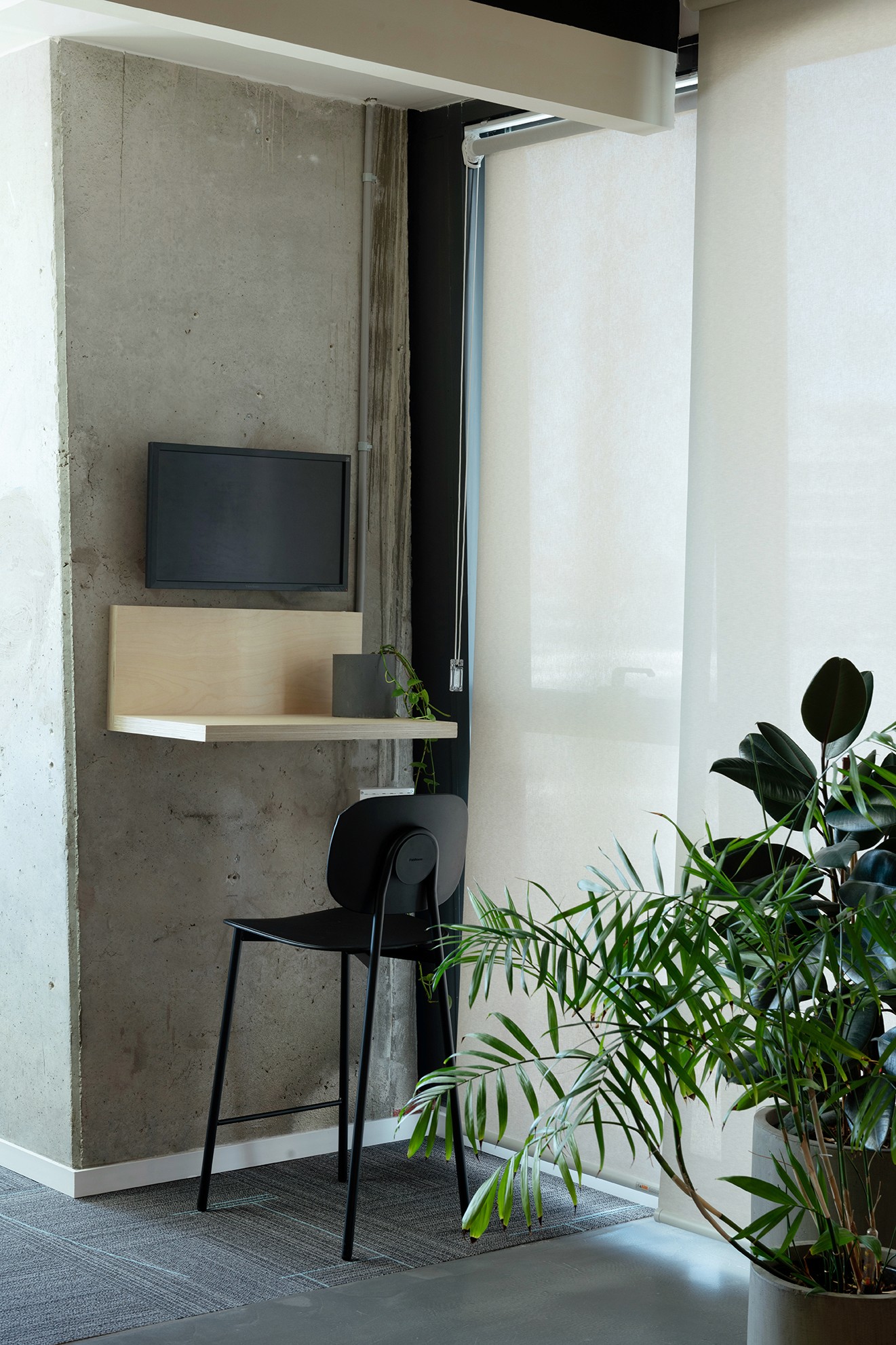 עיצוב משרדים מבוסס מיתוג: דלפק כניסה פיסולי בצורת הלוגו, המשלב צמחייה וניגודיות מול קיר האבן הטבעית