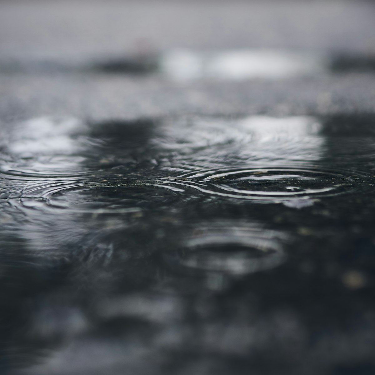 Fall Rain (Crunchy Leaves Edition) — grayscale photo of raindrops