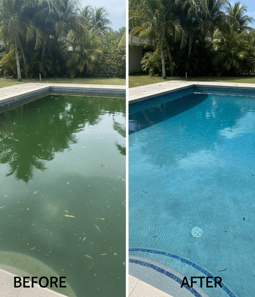 Before and after green pool cleanup showing clear water restoration