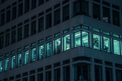 person sitting on grass and using phone