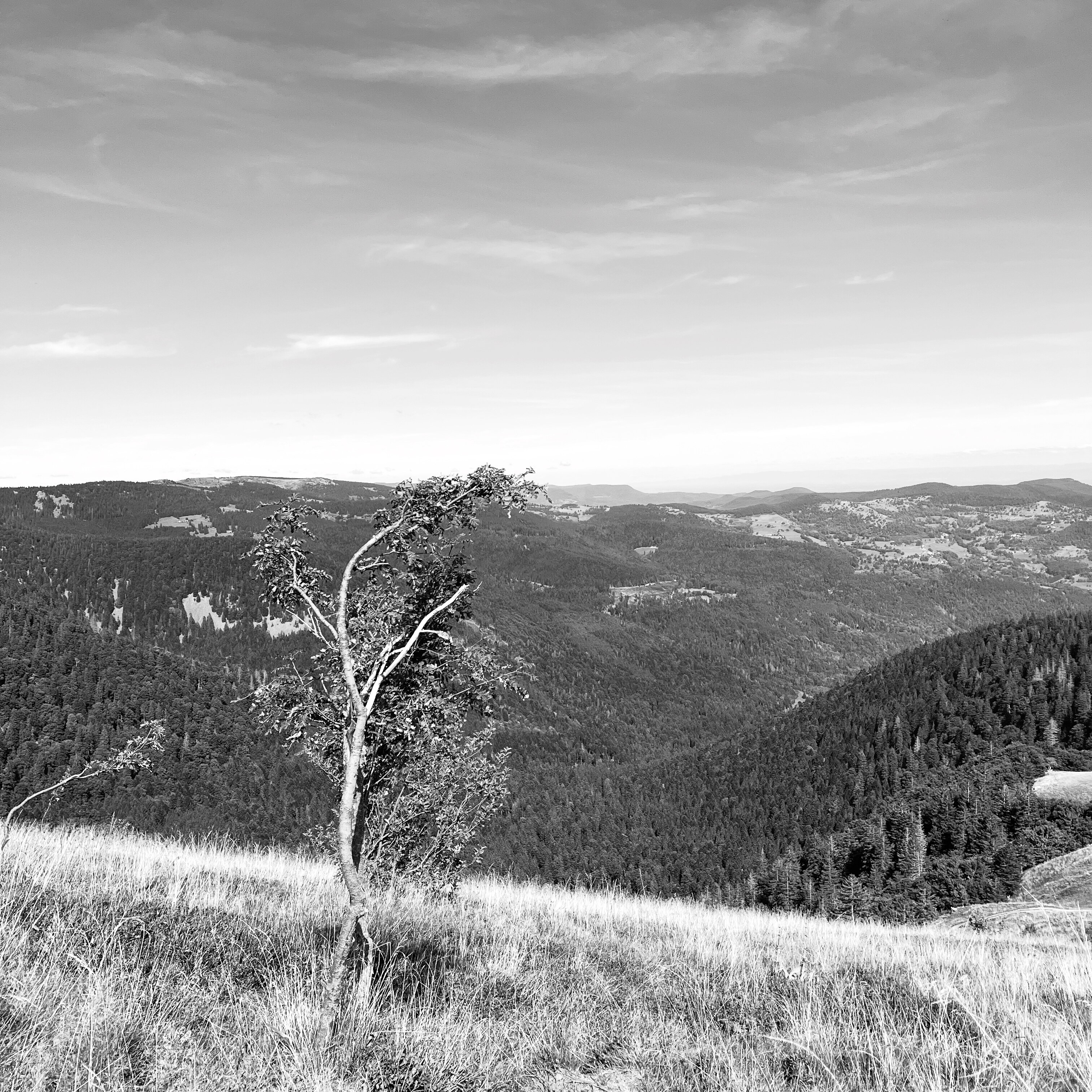 Beyond Control and Constraint - Generative AI and the Personalization of Experience - Luc Nijman