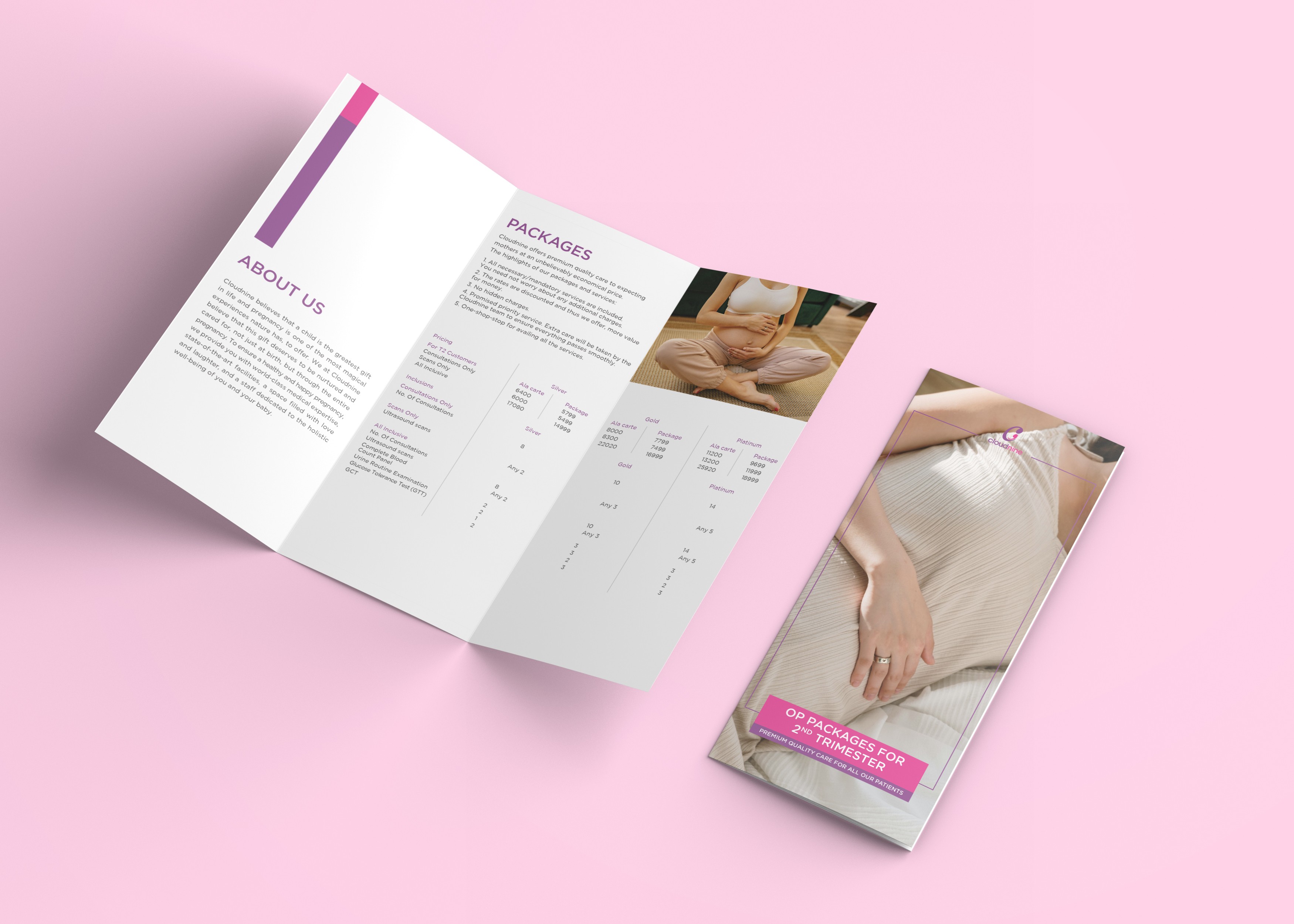 Cloudnine pregnancy packages flyer, pricing and service information