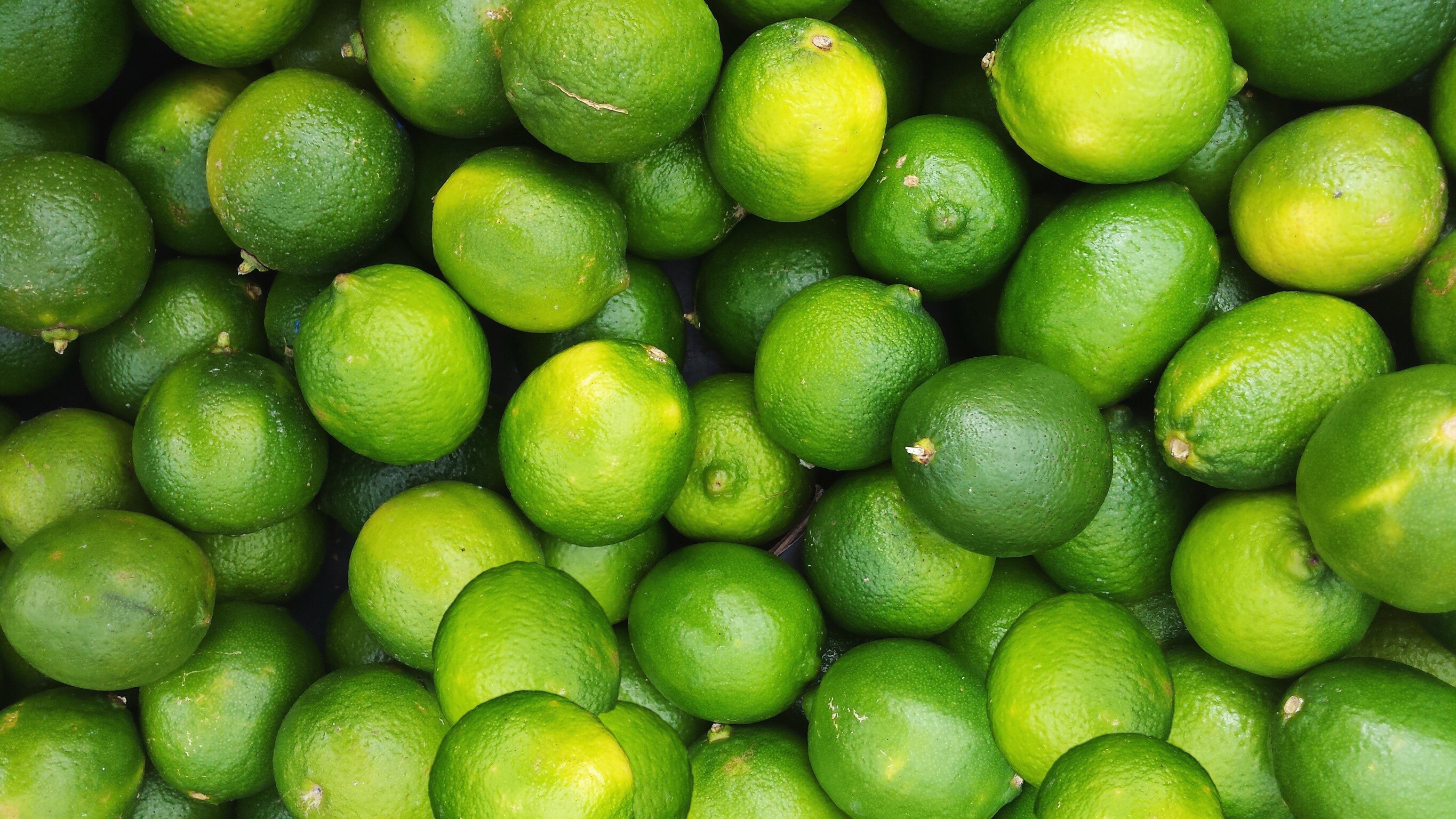 persian lime